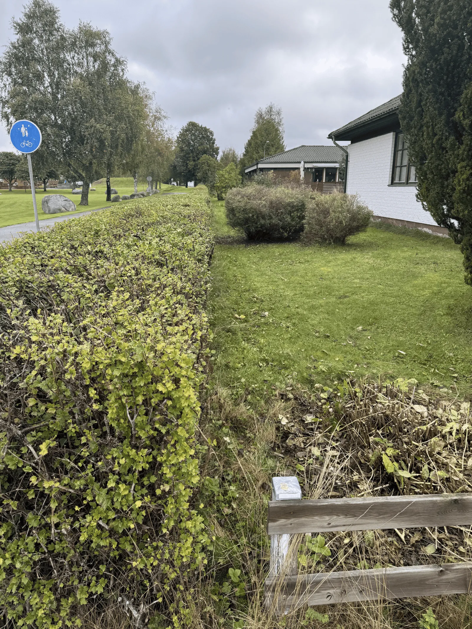 Häckklippning — Erikssonwood AB